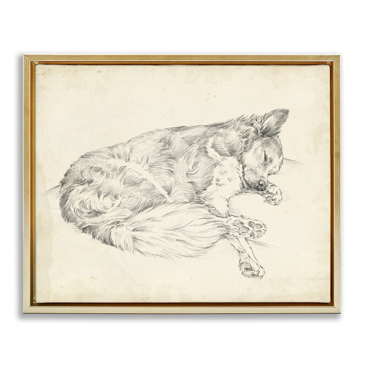 Stupell Industries Antique Dog Drawing Floating Frame By Ethan Harper